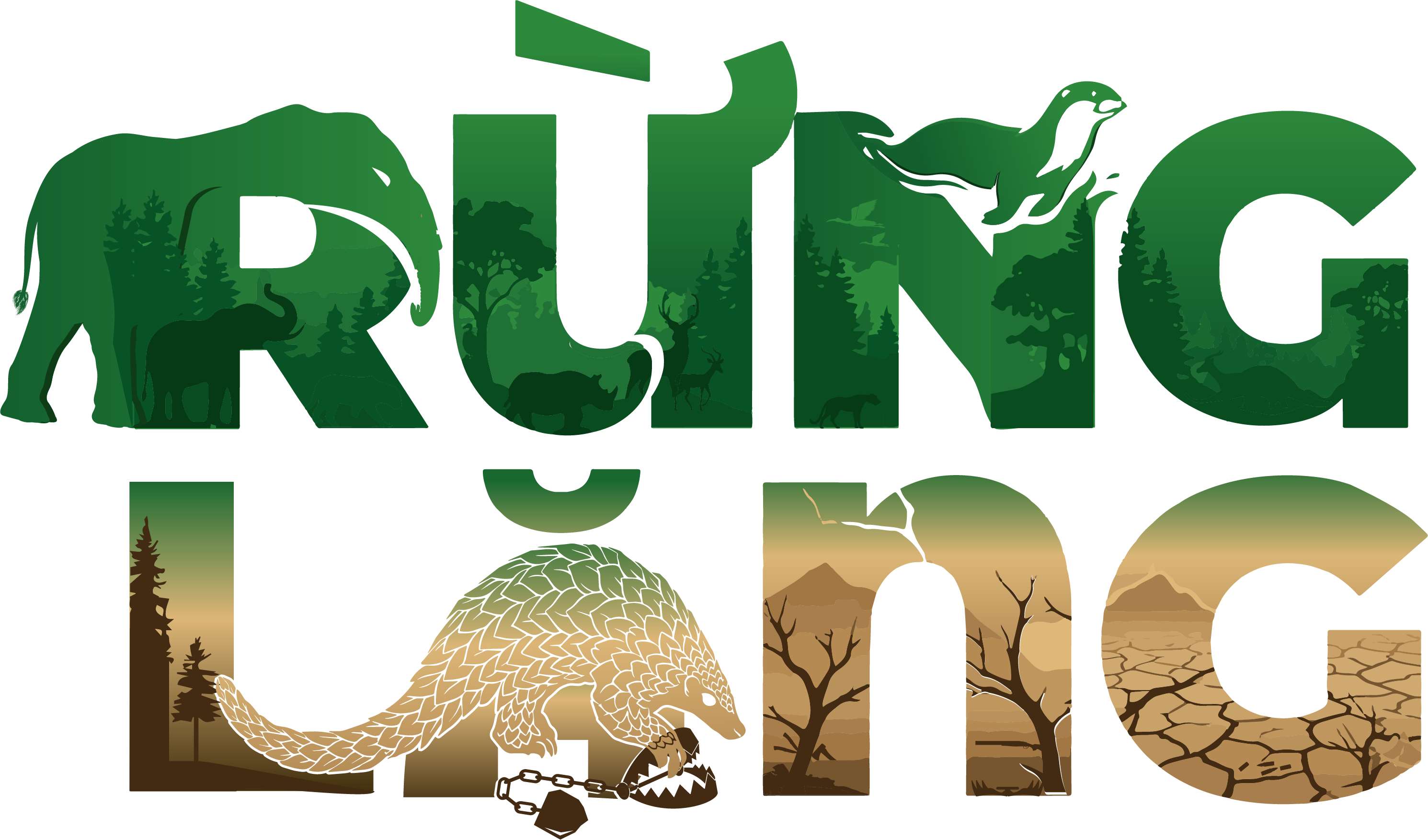 Chiến dịch Rừng lặng